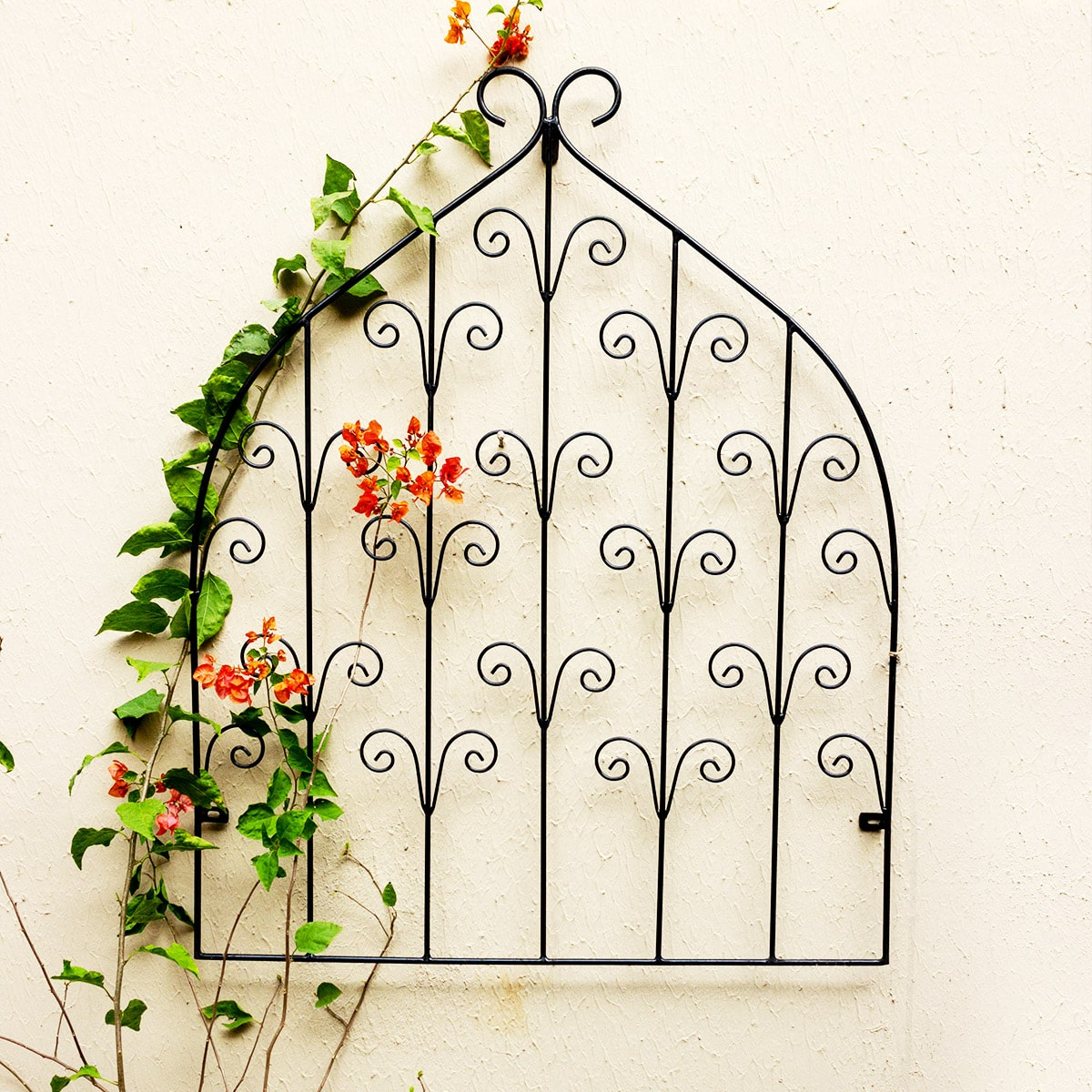 Wall Trellis