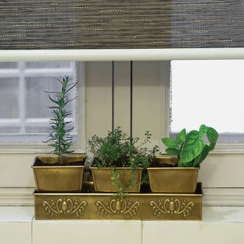 Window Planter