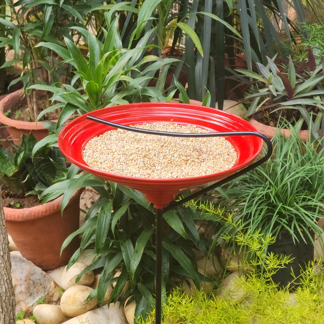 Tranquil Bird Bath & Feeder