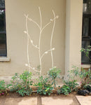 Twining Leaf & Bird Trellis - Small