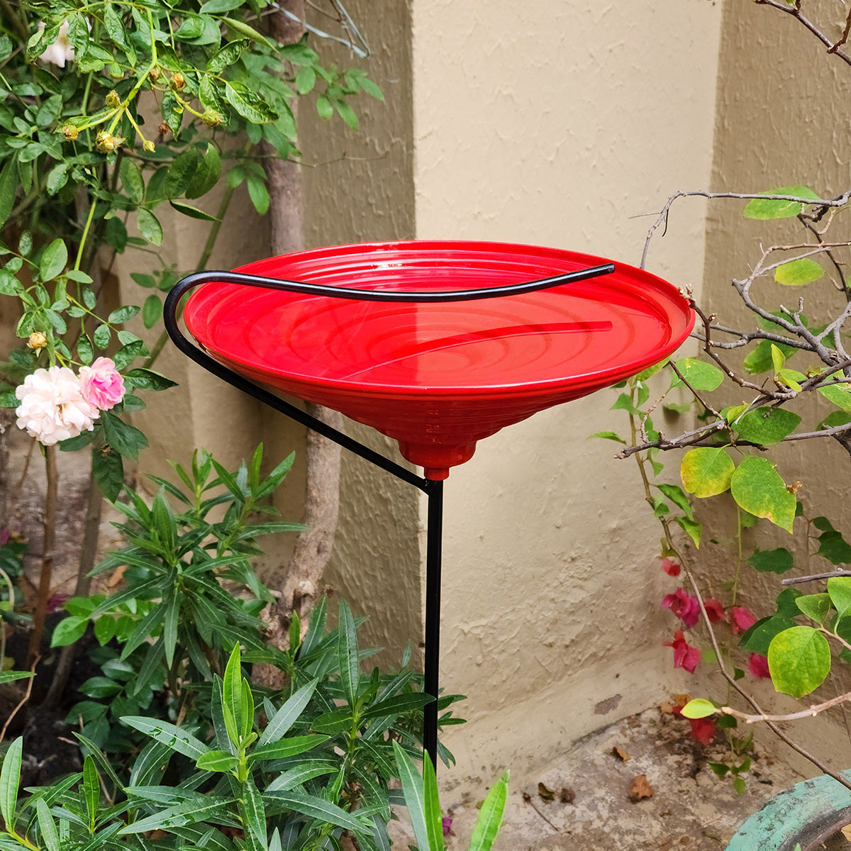 Tranquil Bird Bath & Feeder