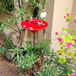 Tranquil Bird Bath