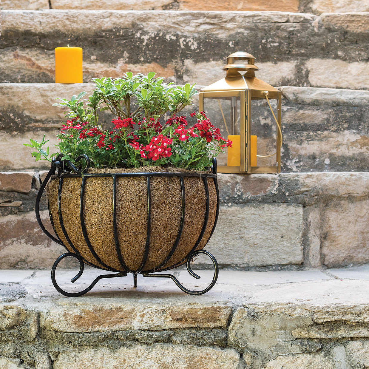 Cauldron Planters (with Coco-liners)