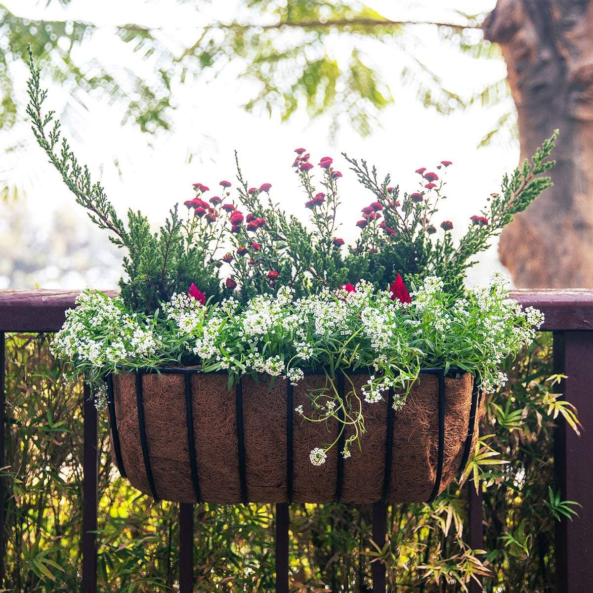 Hayracks Planters (with Cocoliners)