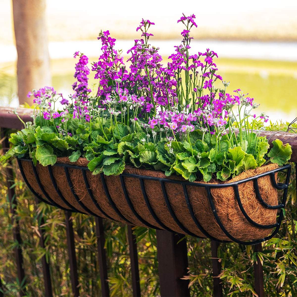 Hayracks Planters (with Cocoliners)