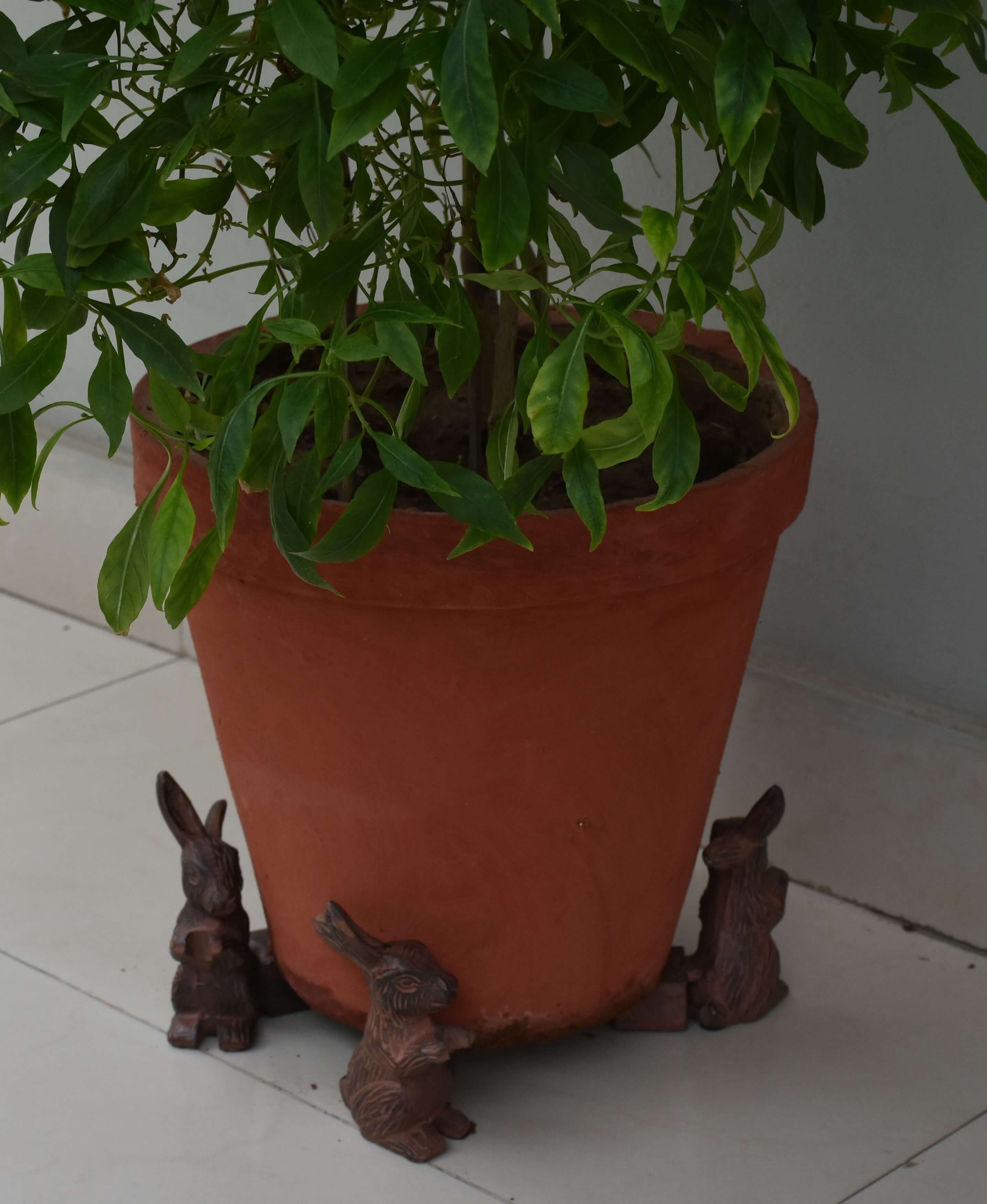 Rabbit Pot Feet (Set of 3 or 4 pcs)